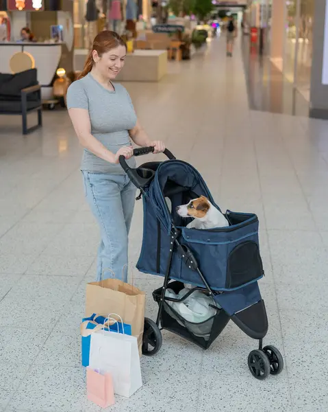 Beyaz bir kadın alışveriş merkezinde Jack Russell Terrier köpeğiyle bebek arabasında alışveriş yapıyor. Dikey fotoğraf