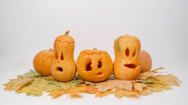 Akçaağaç yaprakları üzerinde bir grup balkabağı-fener. Beyaz arka planda Cadılar Bayramı dekorasyonu