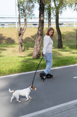 Beyaz kadın, Jack Russell Terrier köpeğiyle parkta paten kayıyor.