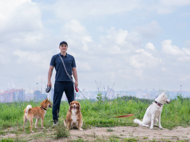 Beyaz bir adam üç köpekle yürür. Köpek gezdirici