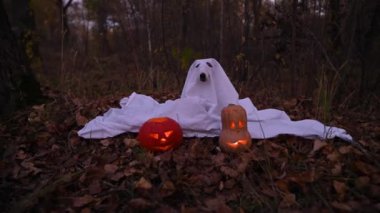 Ormanda Cadılar Bayramı için hayalet kostümü giymiş Jack Russell Terrier köpeği.