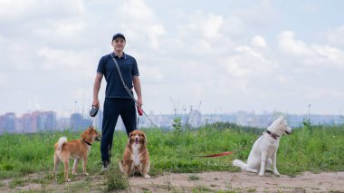 Beyaz bir adam üç köpekle yürür. Köpek gezdirici