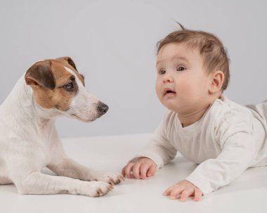 Sevimli erkek bebek ve Jack Russell teriyer köpeği beyaz bir arka planda uzanıyorlar.