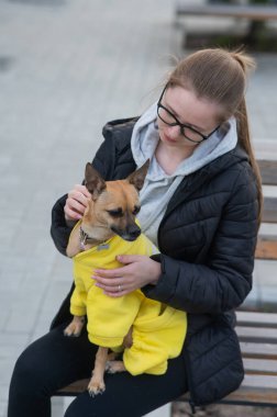 Genç beyaz bir kadın bir Rus oyuncak teriyeriyle yürüyor. Ceketli bir köpek sahibi bankta oturuyor. Dikey fotoğraf