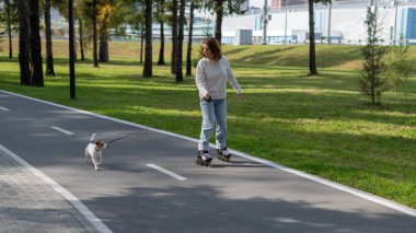 Beyaz kadın, Jack Russell Terrier köpeğiyle parkta paten kayıyor.