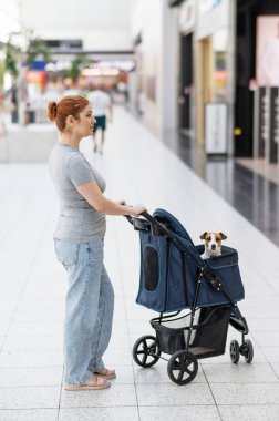 Beyaz bir kadın alışveriş merkezinde Jack Russell Terrier köpeğiyle bebek arabasında yürüyor. Dikey fotoğraf