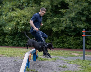 Adamın biri elinde pitbull teriyeri olan bir köpekle bariyerin üzerinden atlıyor.