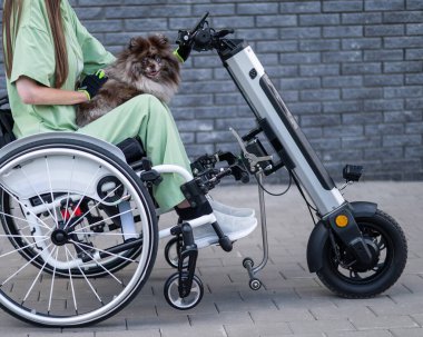 Tekerlekli sandalyedeki bir kadın, elinde elle kontrol cihazı olan bir Spitz merle köpeği taşıyor. Elektrikli bisiklet.