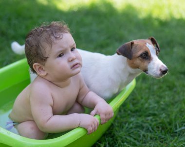 Tatlı çocuk yazın Jack Russell teriyer köpeğiyle havuzda banyo yapıyor.