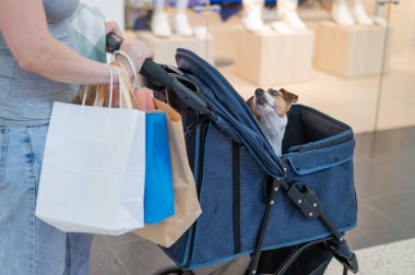 Beyaz bir kadın alışveriş merkezinden Jack Russell Terrier köpeği ile bebek arabasıyla geçiyor.