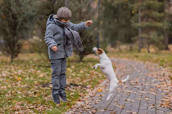 Beyaz çocuk sonbahar parkında bir köpekle yürüyüşe çıkıyor.