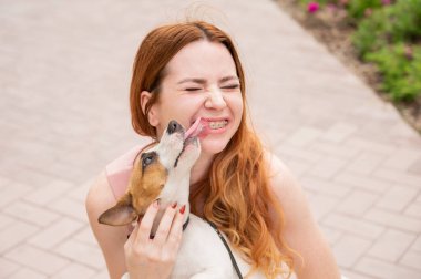 Köpek Jack Russell Terrier sahibinin yüzünü açık havada yalıyor. Dişlerinde diş teli olan kız.