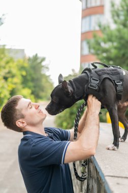 Beyaz bir adam pitbull teriyeri köpeğiyle yürüyor. Dikey fotoğraf