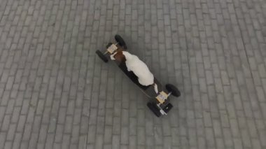 Bir Jack Russell Terrier köpeği elektrikli bir uzun tahta kullanıyor.