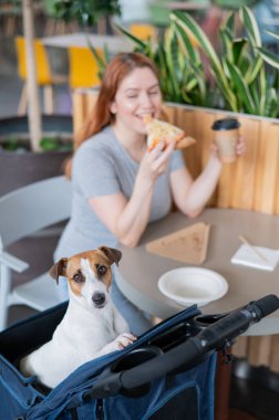 Beyaz bir kadın, kafeteryada Jack Russell teriyer köpeğiyle bebek arabasında yemek yiyor. Dikey fotoğraf