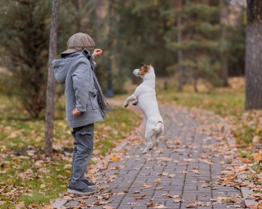 Beyaz çocuk sonbahar parkında bir köpekle yürüyüşe çıkıyor.