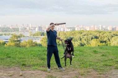 Pitbull Terrier bir sopa için zıplar. Köpeği eğiten adam.