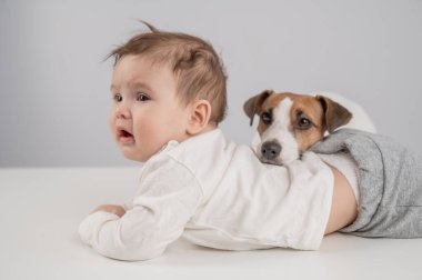 Sevimli erkek bebek ve Jack Russell teriyer köpeği beyaz bir arka planda uzanıyorlar.