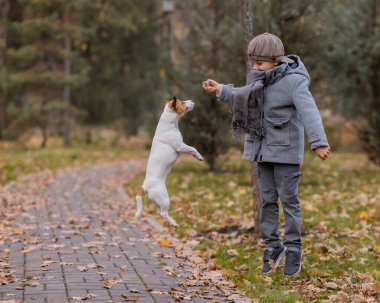 Beyaz çocuk sonbahar parkında bir köpekle yürüyüşe çıkıyor.