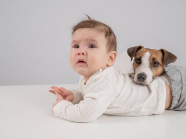 Sevimli erkek bebek ve Jack Russell teriyer köpeği beyaz bir arka planda uzanıyorlar.