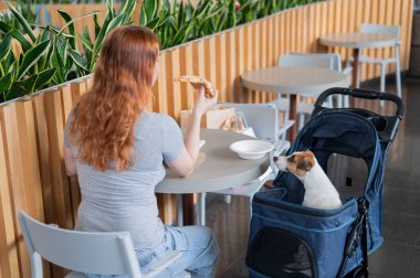 Beyaz kadın bir kafede Jack Russell teriyer köpeğiyle bebek arabasında öğle yemeği yiyor.