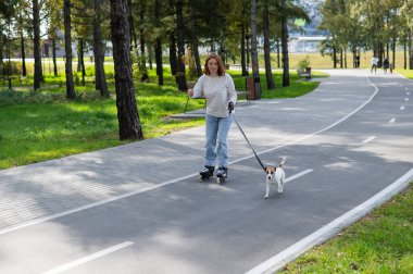 Caucasian woman roller skating with her jack russell terrier dog in park clipart