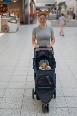 Beyaz bir kadın alışveriş merkezinde Jack Russell Terrier köpeğiyle bebek arabasında alışveriş yapıyor. Dikey fotoğraf