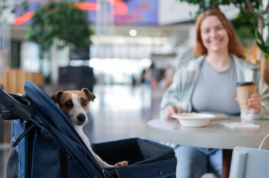 Beyaz kadın bir kafede Jack Russell teriyer köpeğiyle bebek arabasında öğle yemeği yiyor.