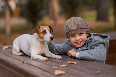 Jack Russell Terrier köpeği bir sonbahar parkında bir çocukla yürüyüş yapmak için bankta oturur.