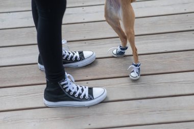 Yüzü olmayan bir kadın ve uyumlu ayakkabılarla yürüyen şirin bir köpek.