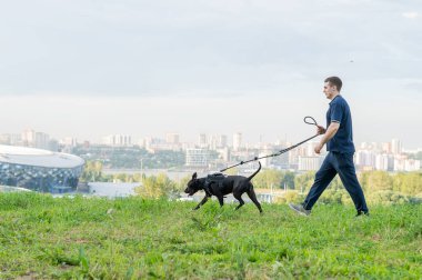 Pitbull teriyeriyle koşan bir adam.