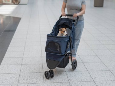 Beyaz bir kadın alışveriş merkezinde Jack Russell Terrier köpeğiyle geziyor.
