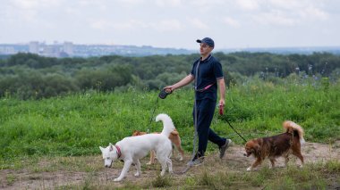Beyaz bir adam üç köpekle yürür. Köpek gezdirici