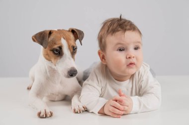 Sevimli erkek bebek ve Jack Russell teriyer köpeği beyaz bir arka planda uzanıyorlar.