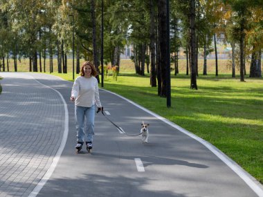 Beyaz kadın, Jack Russell Terrier köpeğiyle parkta paten kayıyor.