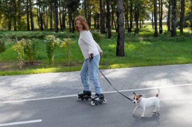 Beyaz kadın, Jack Russell Terrier köpeğiyle parkta paten kayıyor.