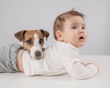 Sevimli erkek bebek ve Jack Russell teriyer köpeği beyaz bir arka planda uzanıyorlar.