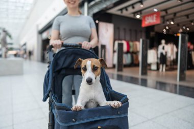 Beyaz bir kadın alışveriş merkezinde Jack Russell Terrier köpeğiyle geziyor.