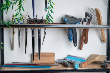 Bir kuaförde hayvan kesmek için kullanılan aletler.