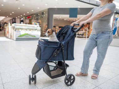 Beyaz kadın alışveriş merkezinde evcil hayvanla alışveriş yapıyor. Taşıyıcıdaki köpek.