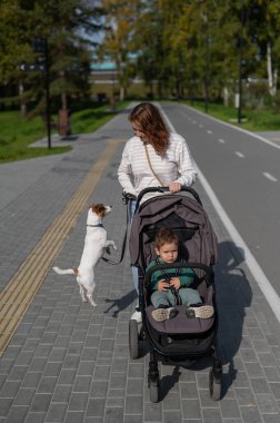 Beyaz bir kadın bir yaşındaki oğlu ve Jack Russell Terrier köpeğiyle parkta yürüyor.
