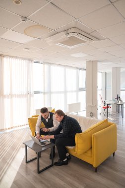 Kanepede otururken laptopta iş tartışan iki beyaz adam. Modern ofis