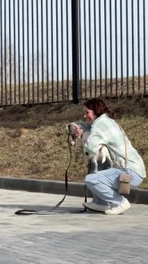 Beyaz kadın Jack Russell Terrier köpeğini gezerken okşuyor.