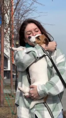 Beyaz kadın Jack Russell Terrier köpeğini gezerken okşuyor.