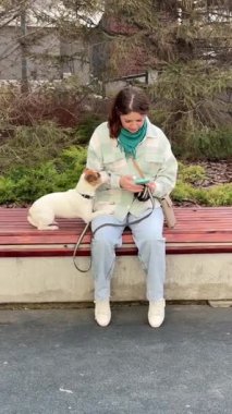 Beyaz kadın Jack Russell Terrier 'ını gezdirirken akıllı telefon kullanıyor.