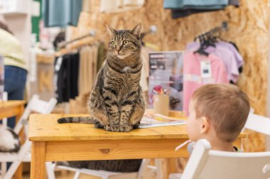 Kafkasyalı küçük bir çocuk bir kedi kafesinde