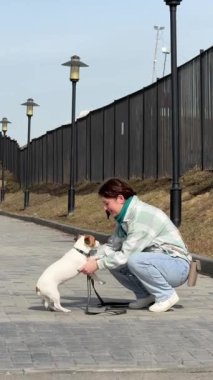 Beyaz kadın Jack Russell Terrier köpeğini gezerken okşuyor.