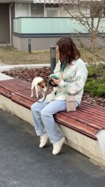 Beyaz kadın Jack Russell Terrier 'ını gezdirirken akıllı telefon kullanıyor.