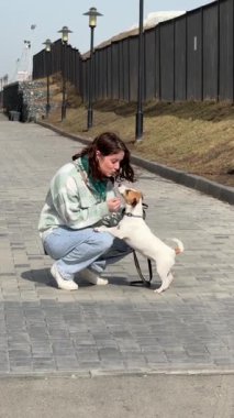 Beyaz kadın Jack Russell Terrier köpeğini gezerken okşuyor.