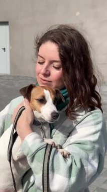 Beyaz kadın Jack Russell Terrier köpeğini gezerken okşuyor.